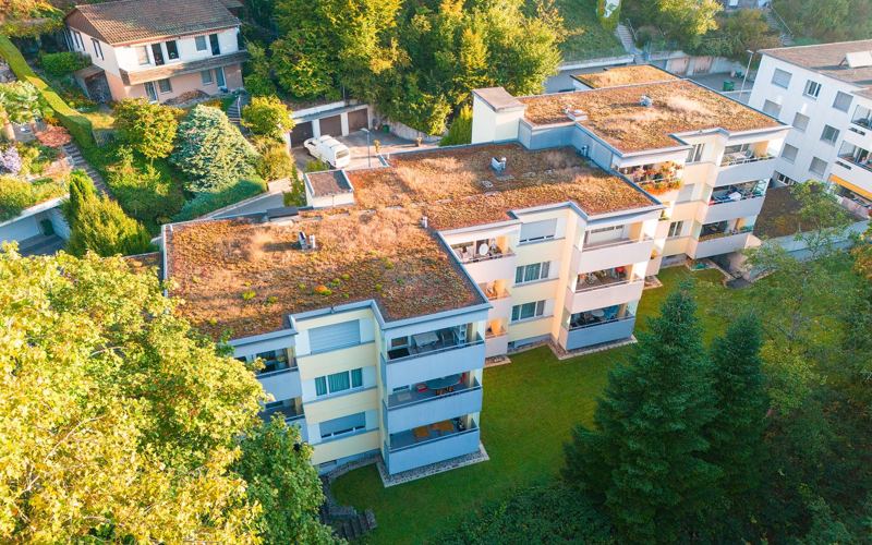 Pigeno Pioniergenossenschaft Elsau