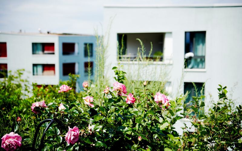 Neue Baugenossenschaft Horgen