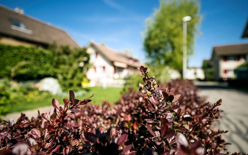 Wohnbaugenossenschaft DAHEIM