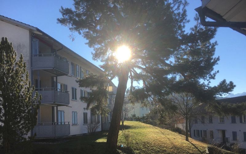 Wohnbaugenossenschaft Grünau Luzern
