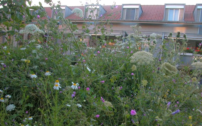 Wohnbaugenossenschaft Strassweid