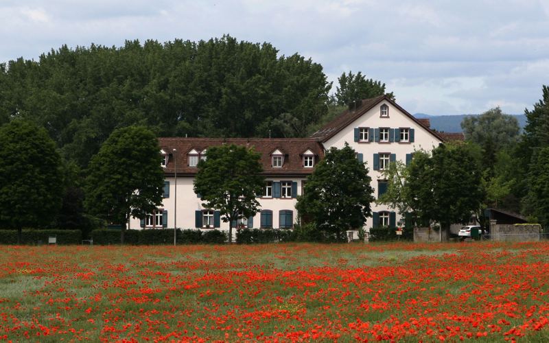 Wohngenossenschaft Mühleteich