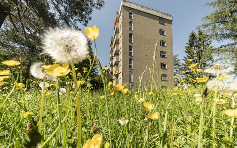 5. Neubauetappe